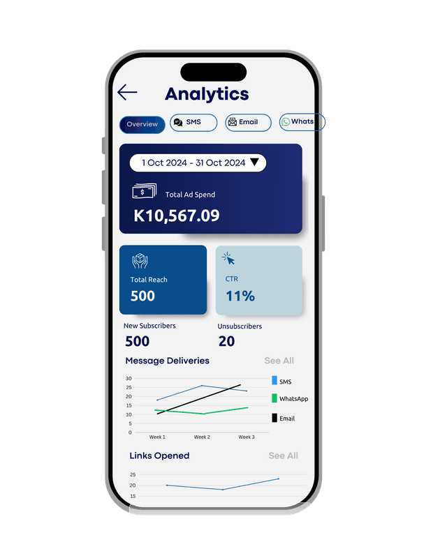Audience selection interface